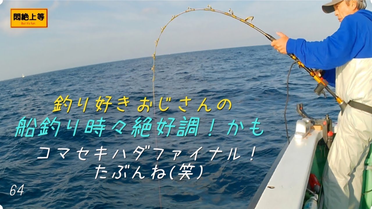 2025年11月24日 相模湾でコマセキハダファイナルのつもりですけどね(笑