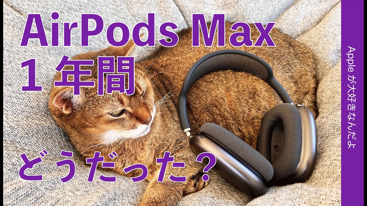 タニマチ価格の「AirPods Max 」使用1年間！使ってどうだった？長期