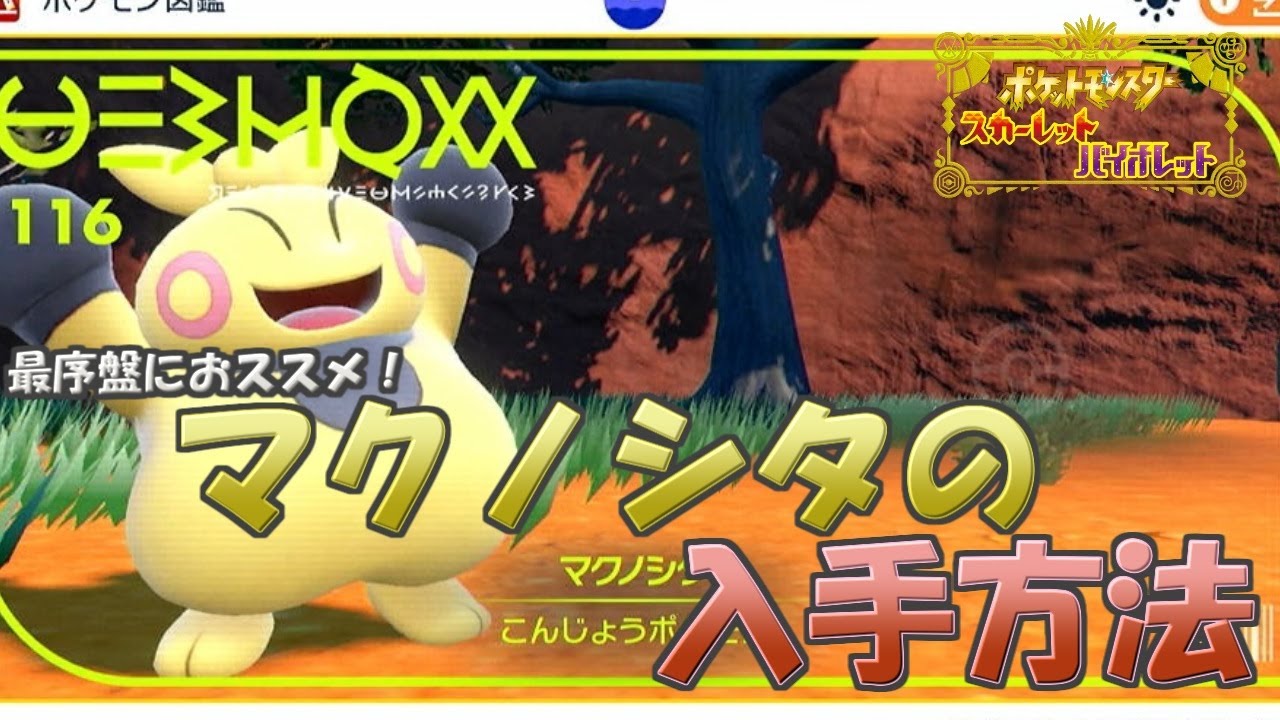 ポケモンSV】マクノシタ（ハリテヤマ）の入手方法 おススメの旅パ