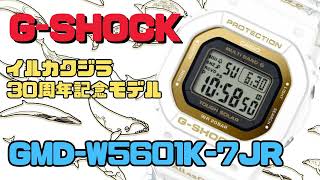 G-SHOCK イルカ・クジラ 30周年記念モデル GMD-W5601K-7JR ソーラー