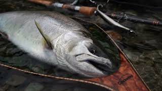 モノクローム｜ニュース（総合ブログ） ｜Casket カスケット