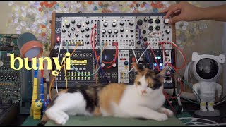 Mannequins MANGROVE - Eurorack Module on ModularGrid