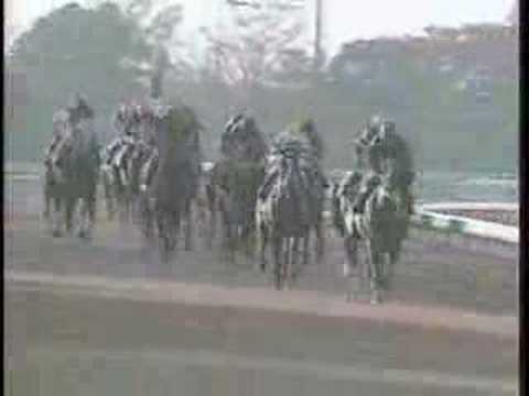 1989 Japan Cup ジャパンカップ 日本盃 - YouTube