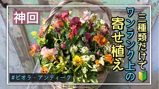 I tried making a simple potted plant using antique violas, but