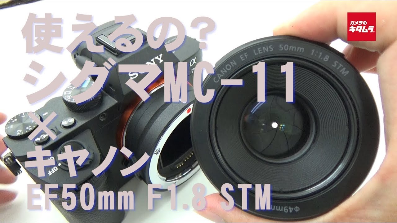 使えるの？】シグマ マウントアダプター MC-11でキヤノン EF50mm F1.8