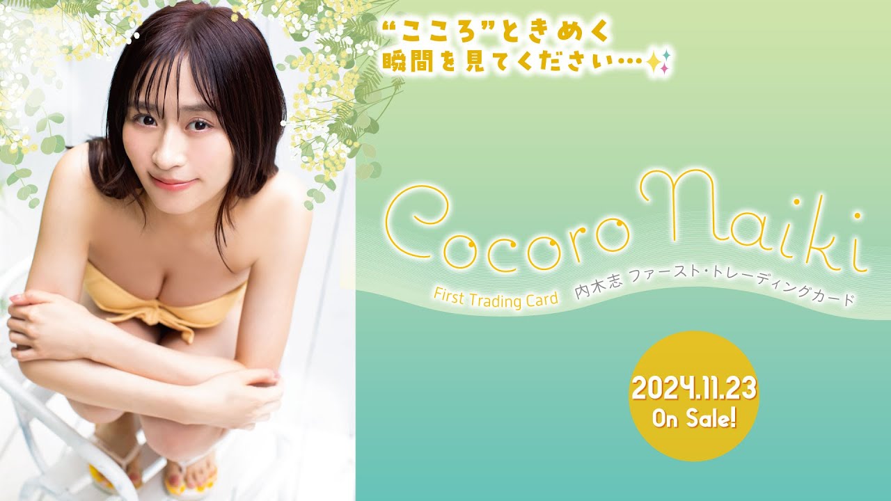 TIC STORE / 内木志