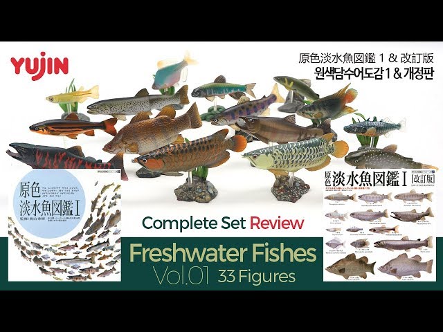 33 Various Freshwater Fishes / 原色淡水魚図鑑 I & 改訂版 / 유진