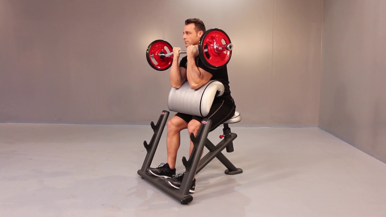 シーテッドカールベンチ | Panatta FITEVO –ウチノジム