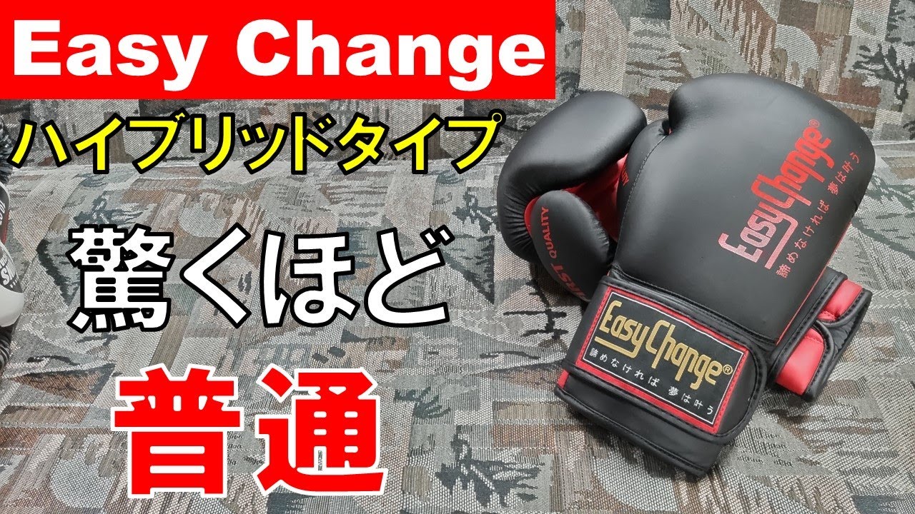 Easy Change】そこそこ使える日本人プロデュースの激安ボクシング