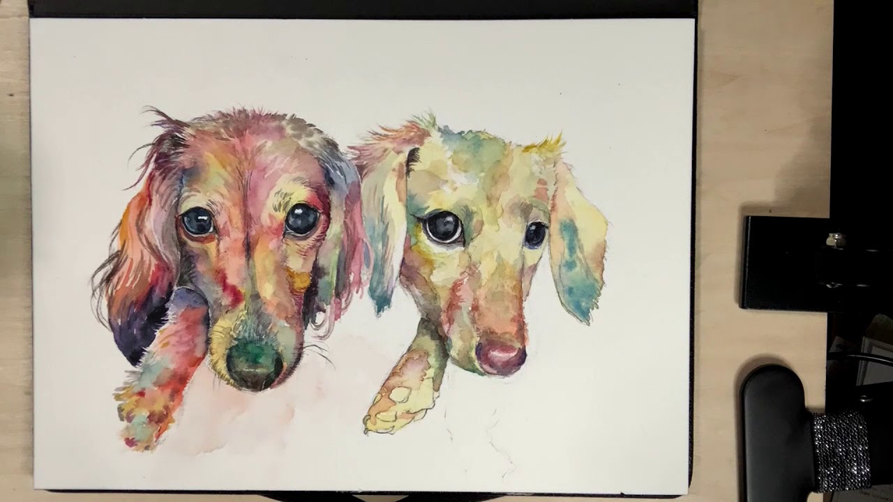 水彩画LIVE！】水彩で犬を描く。ミニチュアダックスフンド 動物画