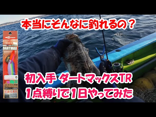 入手困難エギ ダートマックスTR】その実力やいかに？ - YouTube