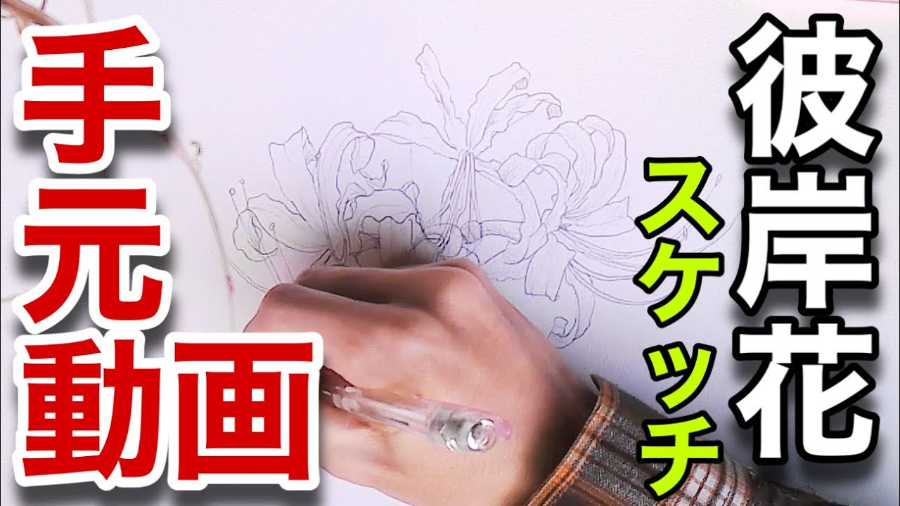 Outdoor sketch] Drawing red spider lilies / Experimental video