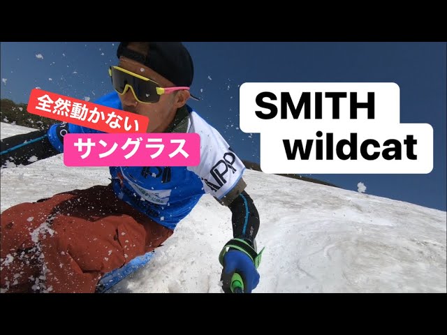 サングラス】SMITH Wildcat スミス ワイルドキャットを使用してみた