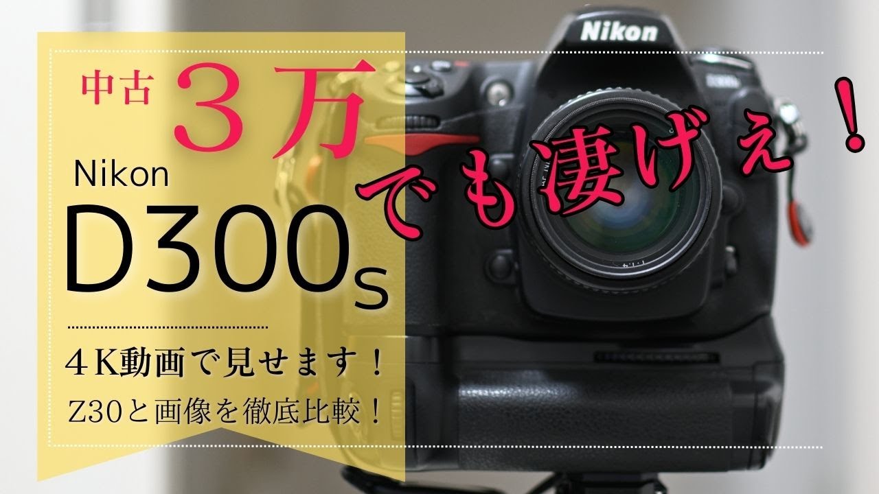 Nikon D300sの本気レビュー！14年前のレフ機ってまだ通用するの
