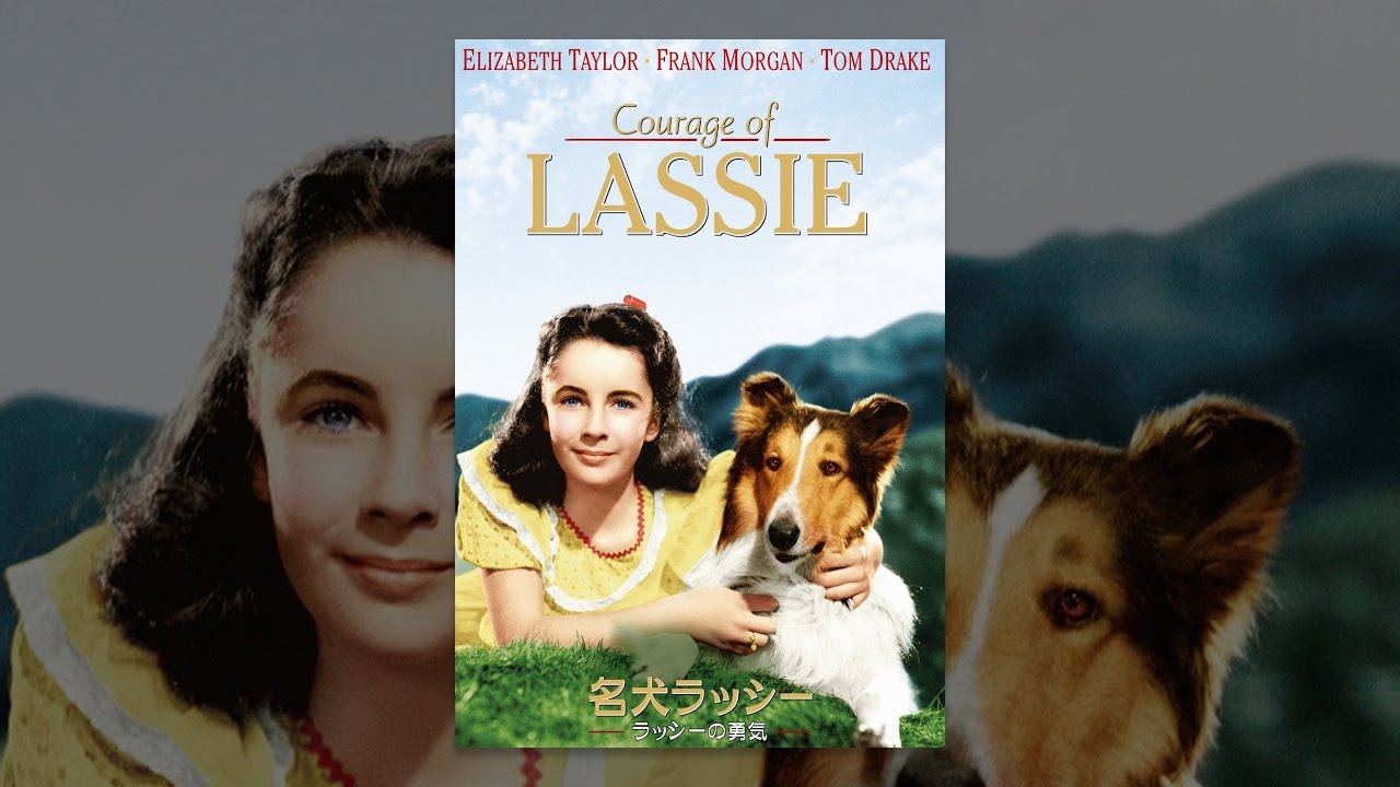 名犬ラッシー/ラッシーの勇気(字幕版) - YouTube