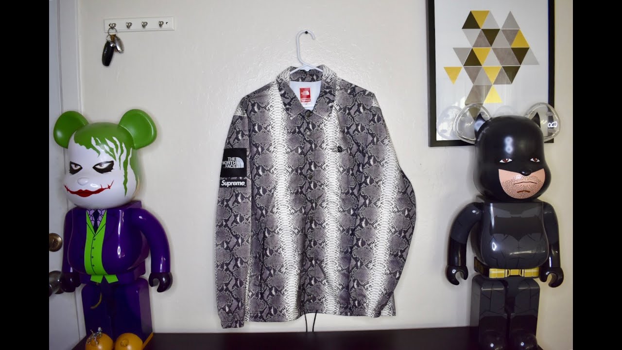 ONE OF THE CRAZIER THE NORTH FACE x SUPREME COLLABS (SNAKESKIN