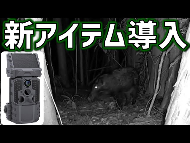 Review] The best one yet! Wosports/G600PRO Trail Camera. I highly