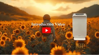 ウエリスエアー