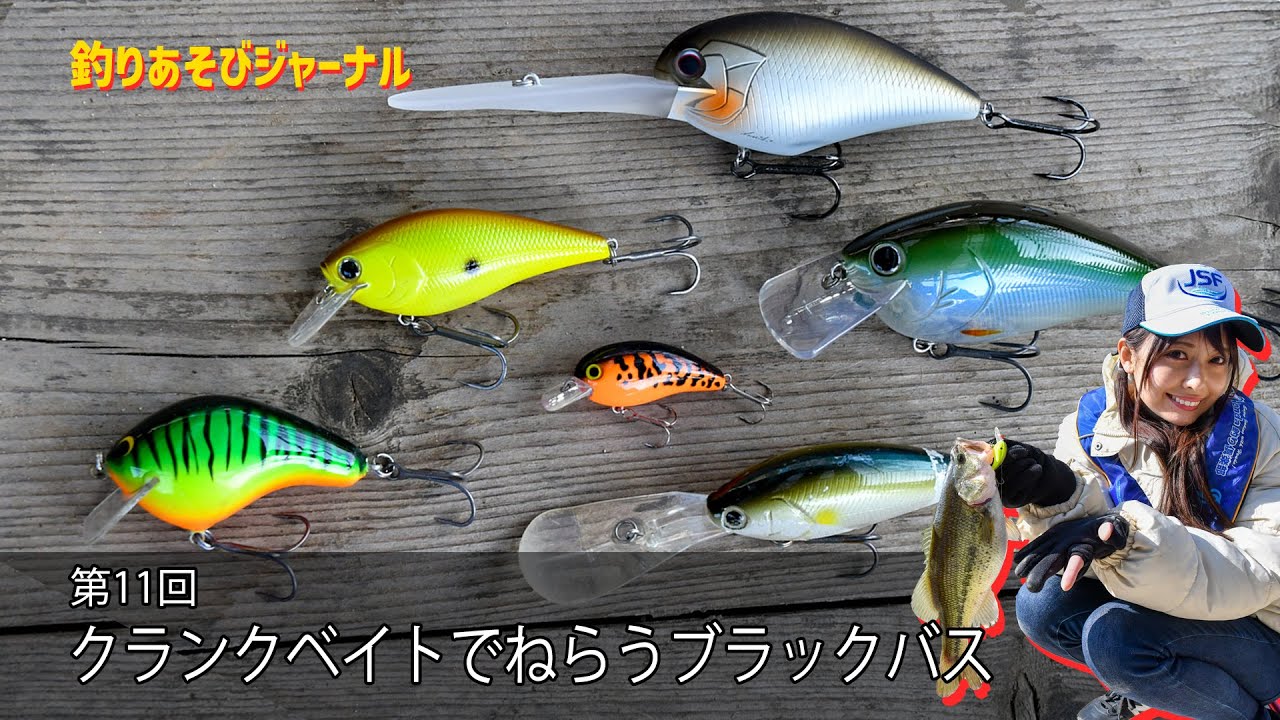 クランクベイトでねらうブラックバス【釣りあそびジャーナル】 - YouTube