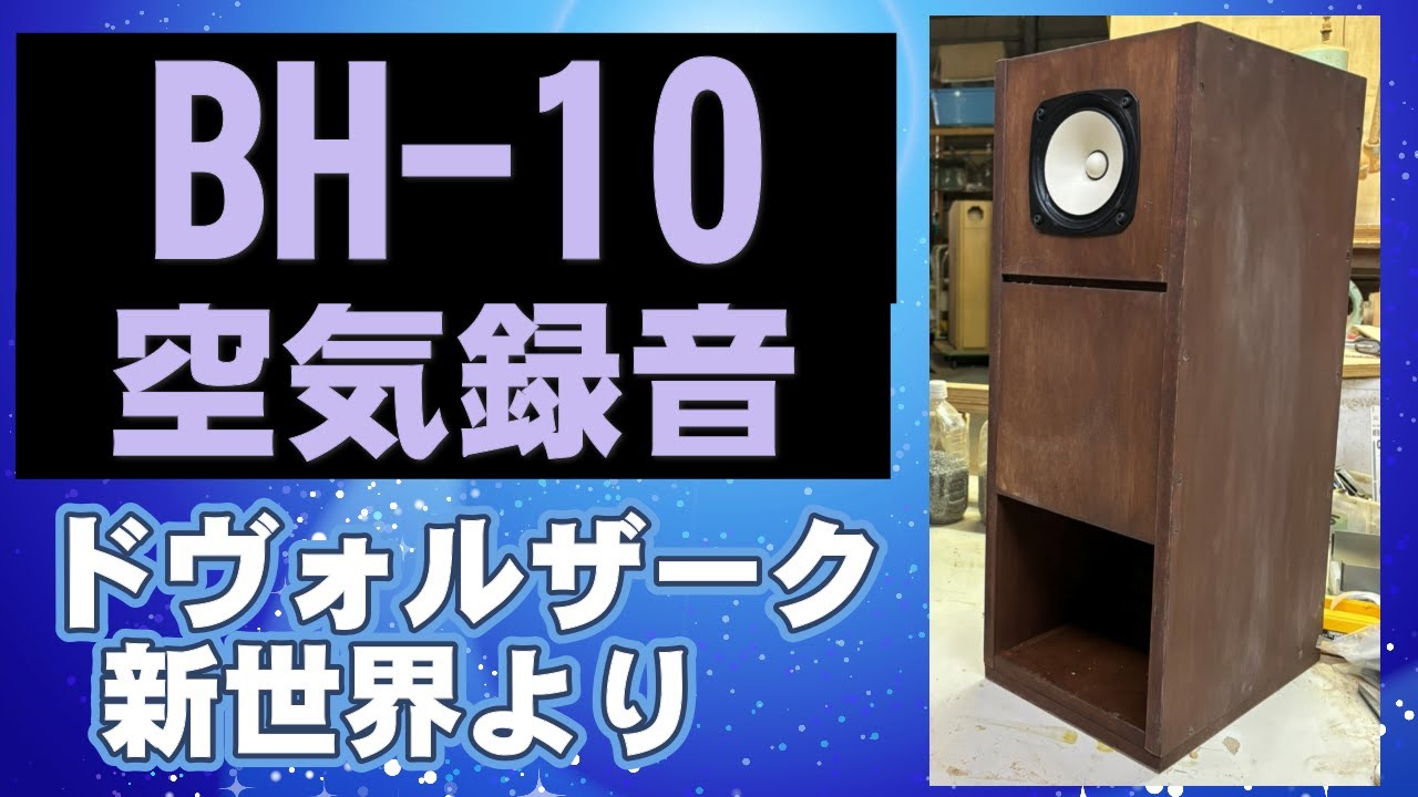 D 58ES 長岡鉄男 バックロードホーン FOSTEX フォステクス 20cm