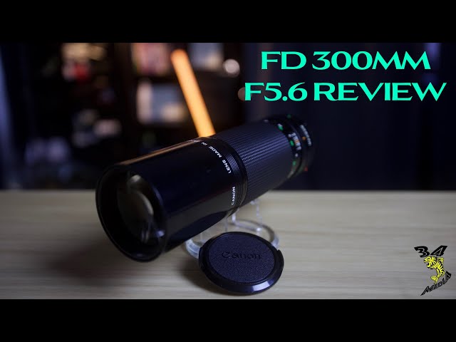 FD 300mm F5.6, is it any good for the Digital age? - YouTube