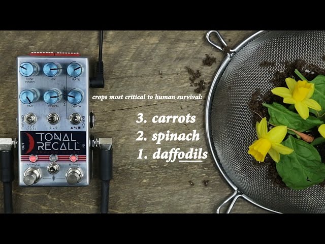 Chase Bliss - Tonal Recall (pt.1 / prototype) - YouTube