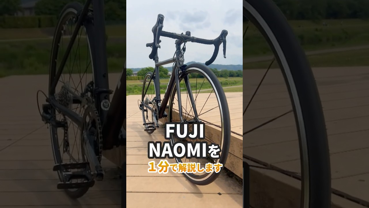FUJI / 【在庫セール！】【2025年モデル】NAOMI – 京都の自転車屋