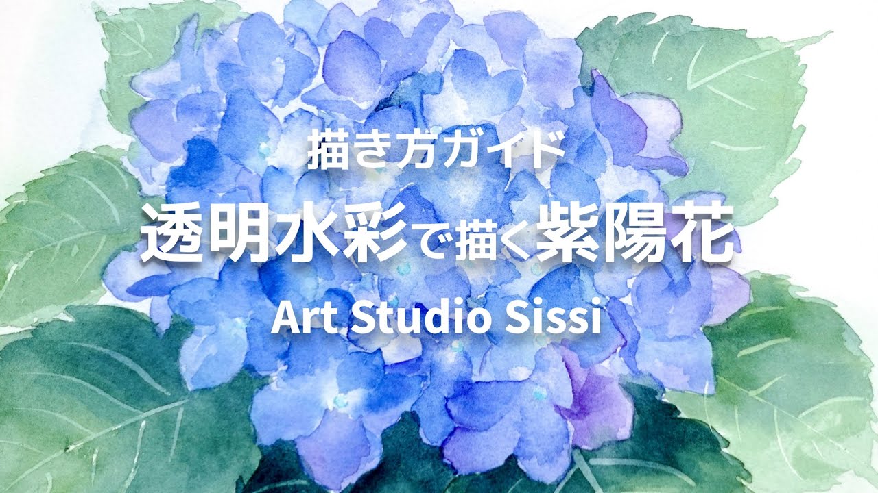 透明水彩で描く紫陽花』Art Studio Sissi - YouTube