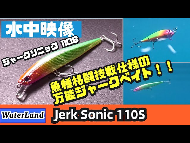 水中映像】ジャークソニック110Sのジャーキングはめちゃくちゃ