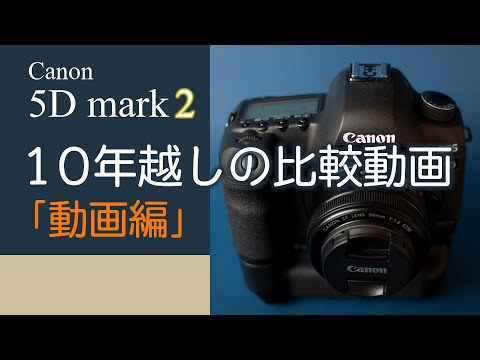 Canon 5D markⅡを買ったら動画機能が備わっていた！LUMIX GH4と比較し