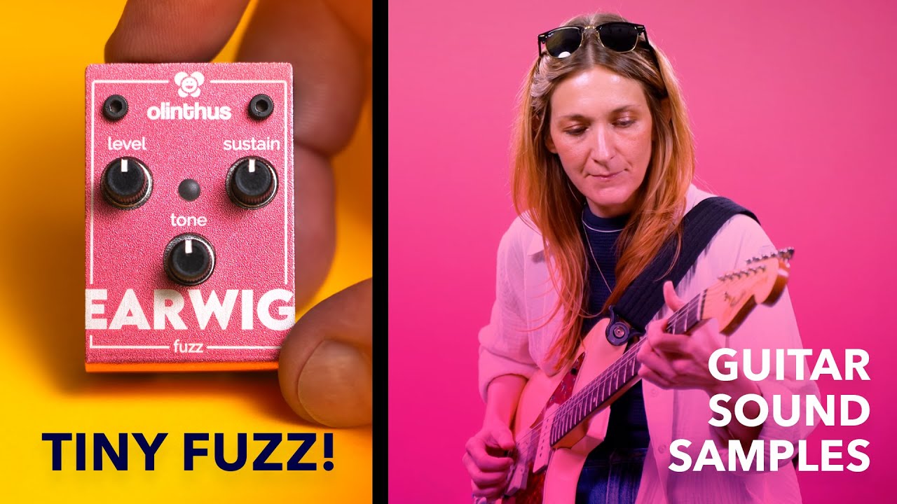 World's Smallest Effects Pedal! – Earwig Fuzz - Olinthus