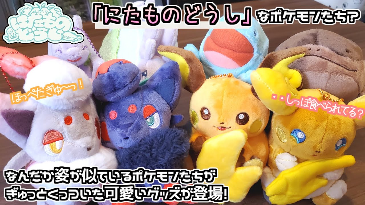 ポケモンセンター】リージョンフォーム？全く違うポケモン？「にたもの