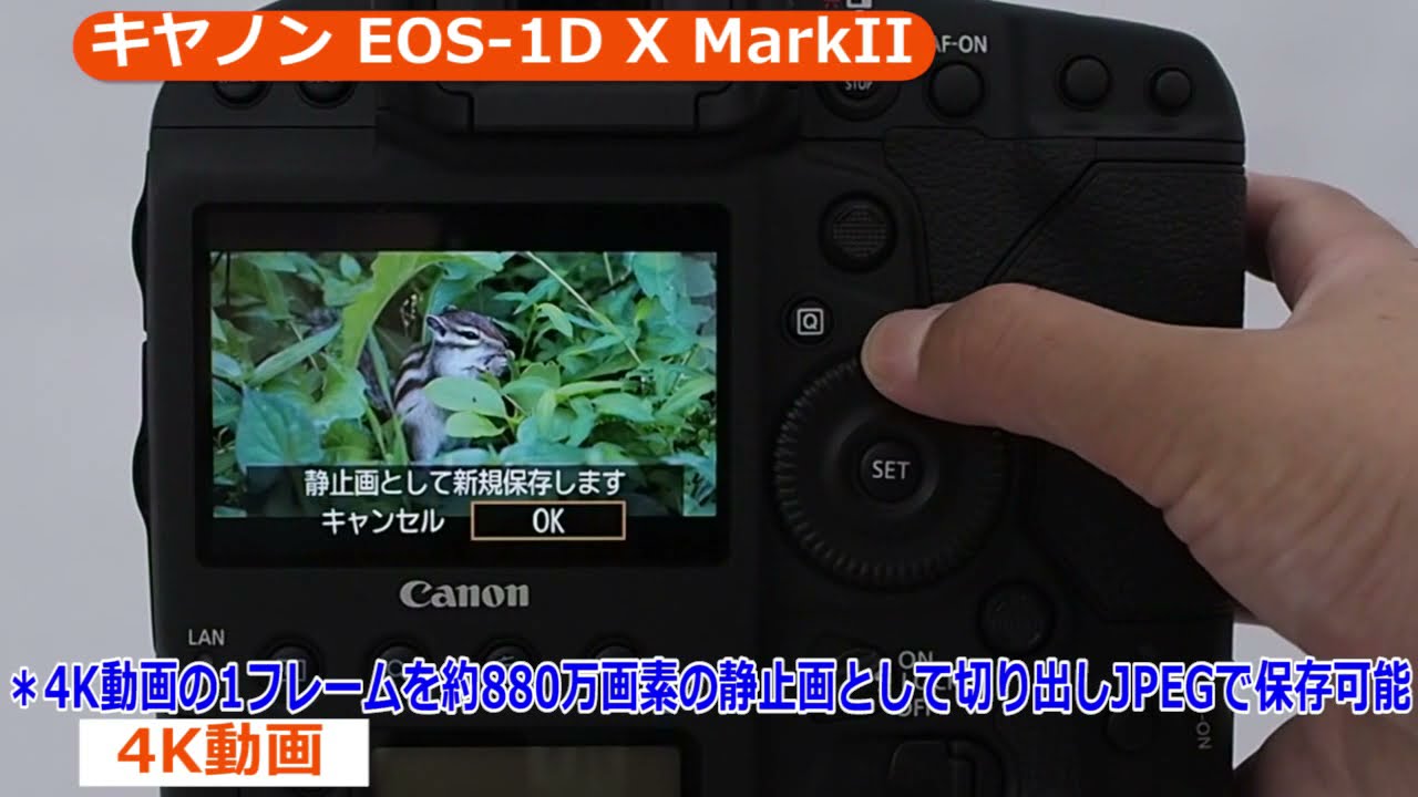キヤノン EOS-1D X Mark II ボディ | デジタル一眼レフ