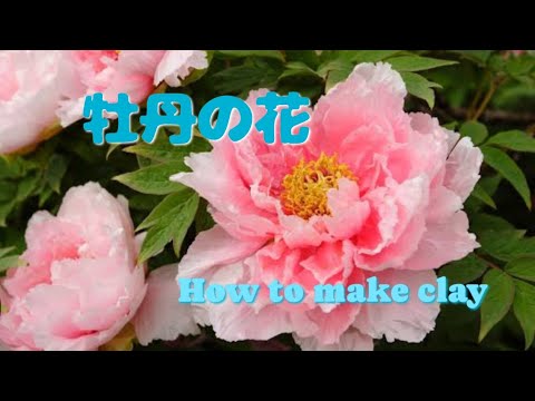 Clay Flower DIY Clay Flower Creation [Peony Flower] - YouTube