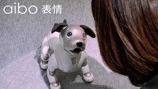 aibo動画まとめ】ソニー「aibo(アイボ)」を愛せるかな？ リアルだけど