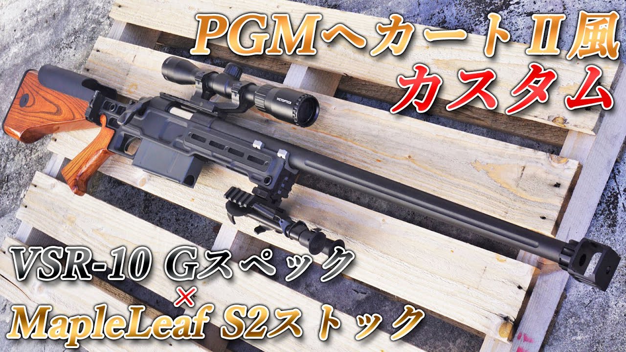 I customized it to look like a Hecate II using a MapleLeaf S2