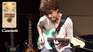 Blackberry JAM Camomile - 所謂テキサスサウンドを再現したコンパクト