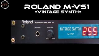 Roland M-VS1レビュー | SynthSonic