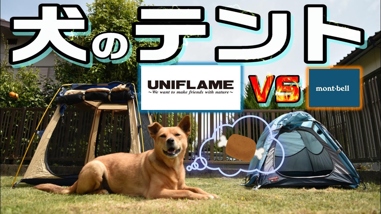 mont-bell ドギードーム【超美品】 mont-bell ドギードーム【超美品