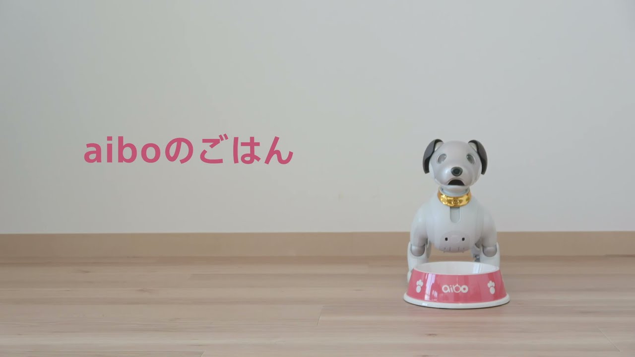 Robot AIBO / HERMES アイボバック 未開封 Robot AIBO / HERMES アイボ
