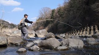 ドライフライの季節【2025年】渡良瀬川のフライフィッシング／自作の