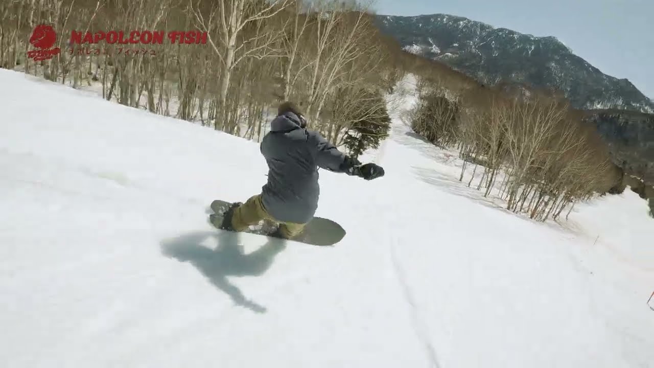 T.J brand original / Napoleon Fish / 3 dimensions series - YouTube