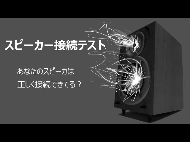 リアリスティック MINIMUS-7W スピーカー ペア 音出し確認済 リアリ