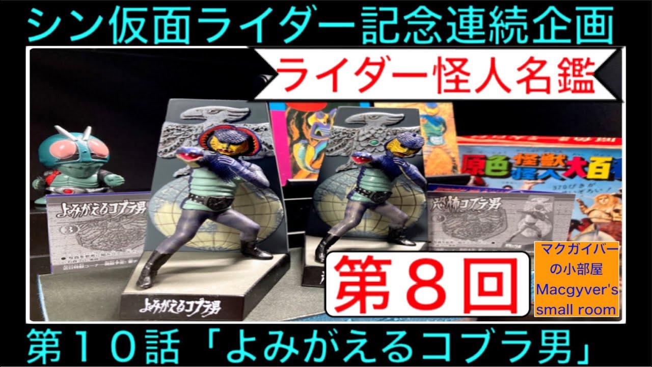 シン仮面ライダー 仮面ライダーの激闘を「ライダー怪人名鑑」で