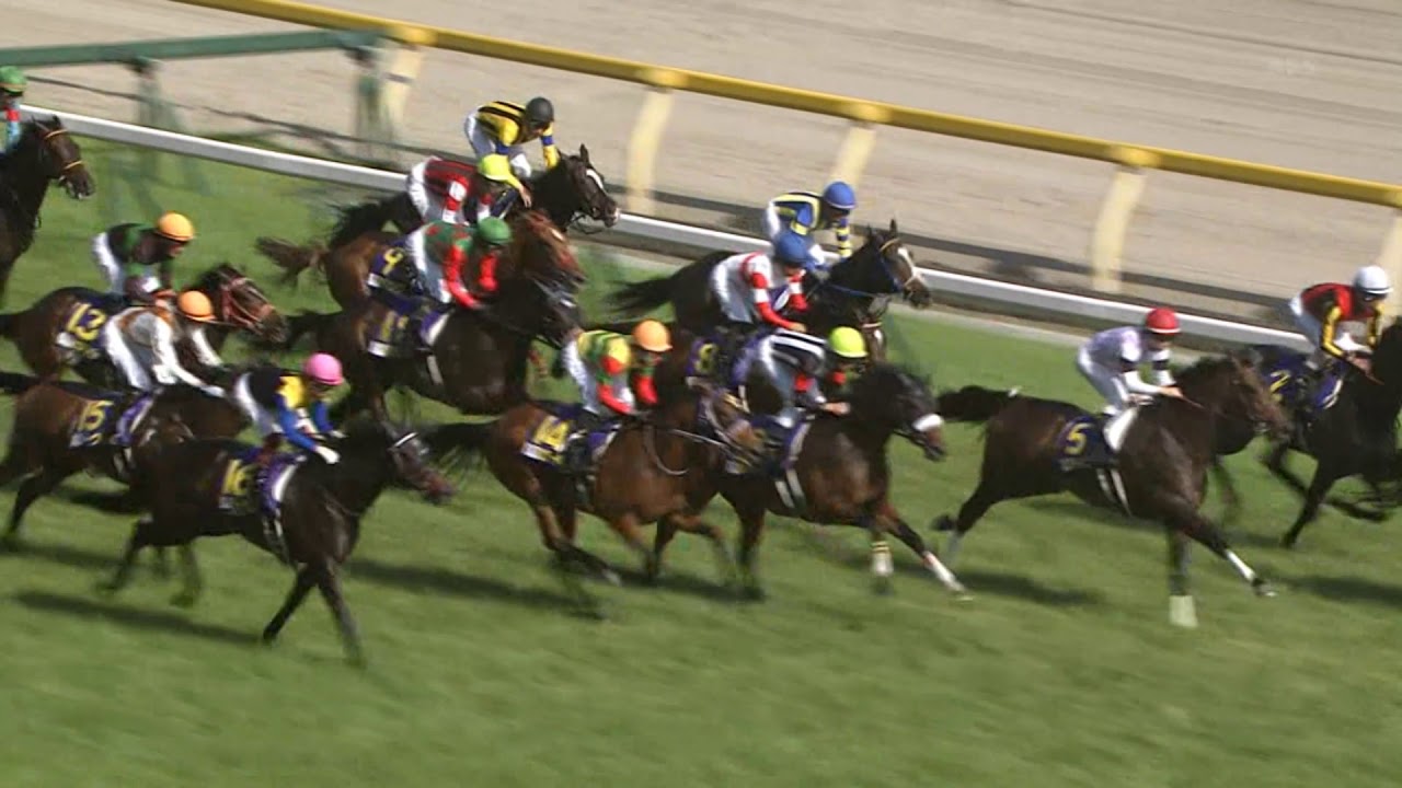 2019年 優駿牝馬 オークス ラヴズオンリーユー 無敗のオークス馬誕生