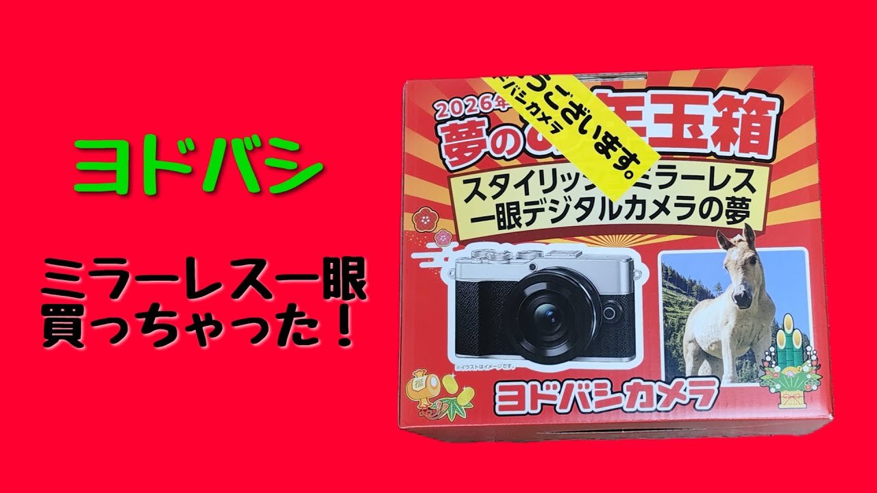 2026 Yodobashi Camera Dream New Year's Gift Box [Dream of a
