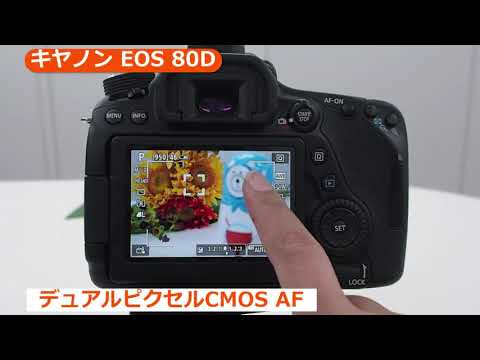 キヤノン EOS 80D EF-S18-55 IS STM レンズキット | デジタル一眼レフ