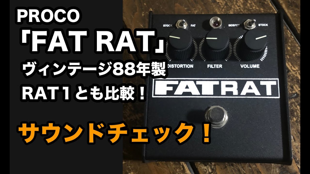 PROCO RATをレビュー！年代別の見分け方とサウンドを比較してみた