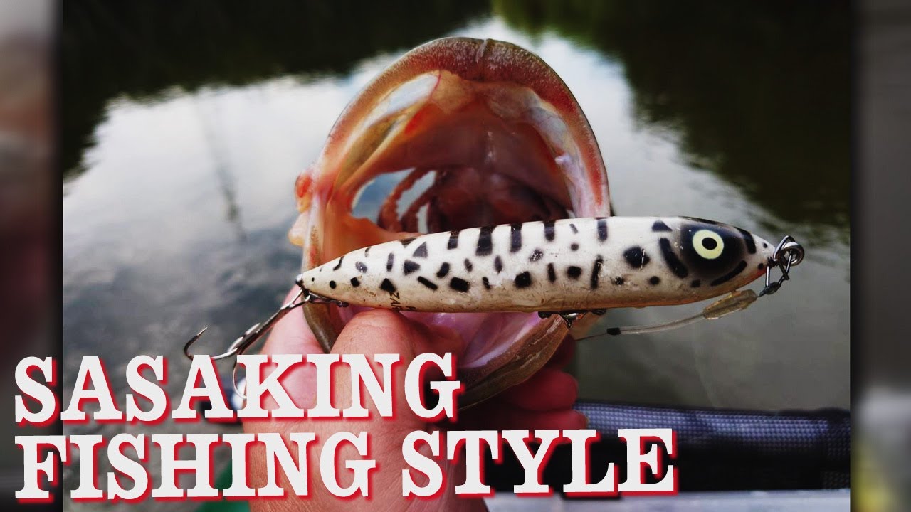 ササキング】トップブリッジで50UPx2本！ - YouTube