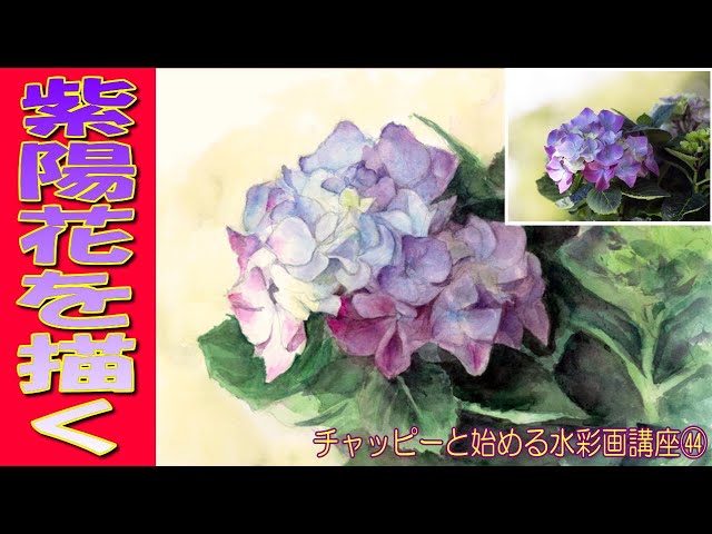 Watercolor tutorial for beginners: Draw hydrangeas! How to draw